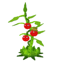 Tomatrio